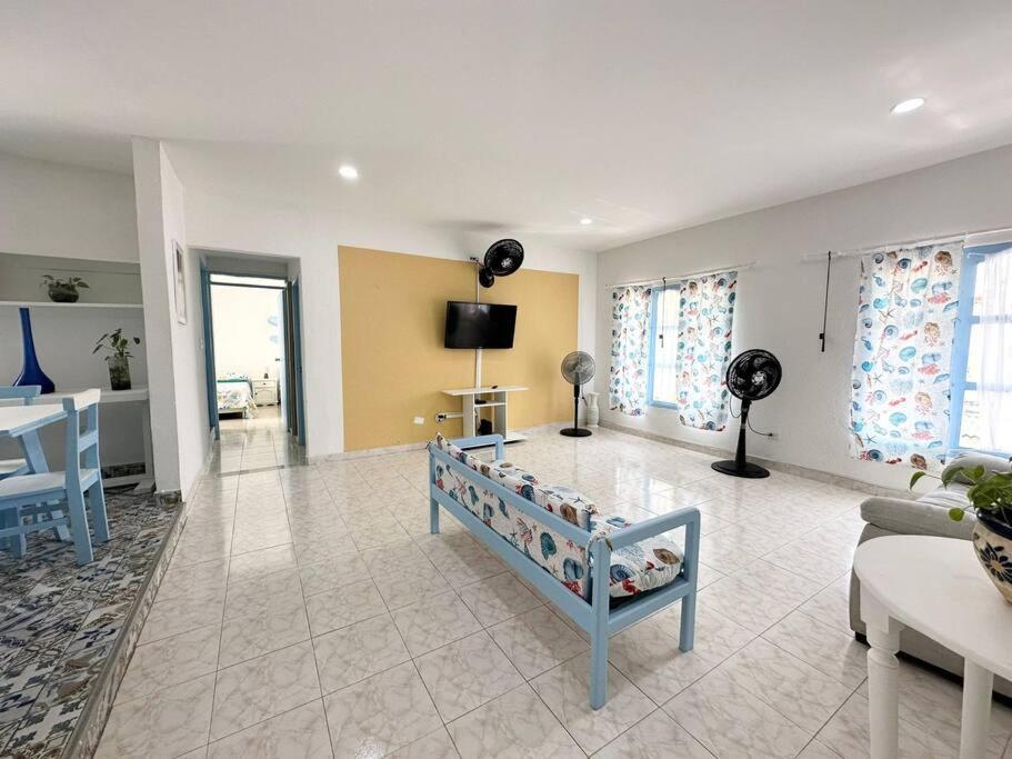 Loft Graze Blue- Atardecer Bahia *